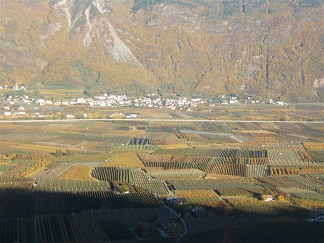 0711020086